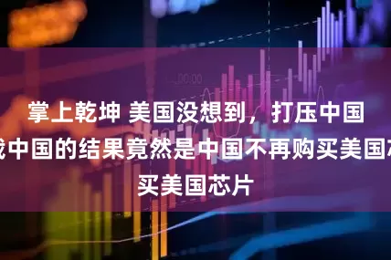 掌上乾坤 美国没想到，打压中国制裁中国的结果竟然是中国不再购买美国芯片
